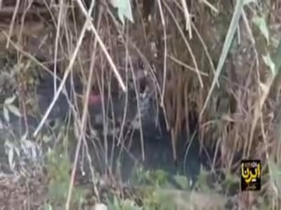 تالاب نیلوفر آبی بابل غرق در فاضلاب!